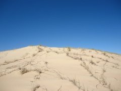 Coorong dunes